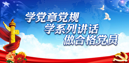 <strong>bsport：专题学习“两学一做”</strong>